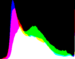 Histogram